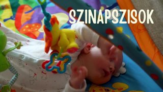 4. fejezet Hogyan tanul az agy?