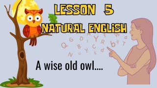 5. lecke - Natural English